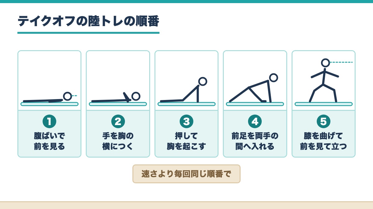 腹ばいで前を見てから膝を曲げて前を見て立つまでのテイクオフの陸トレの順番を5コマの線の人形で示した図
